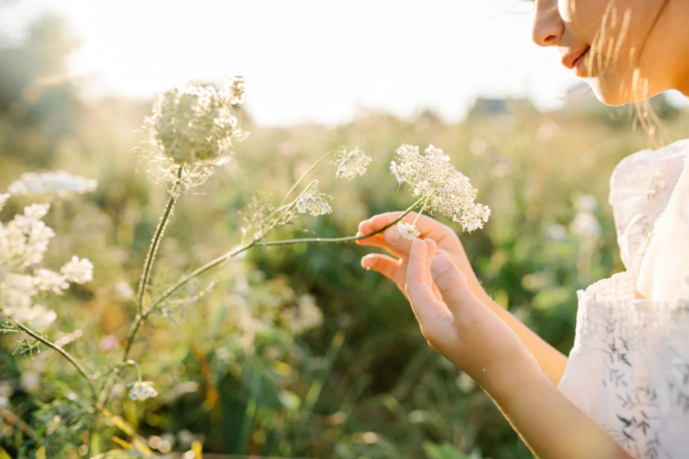 Discovering Calmered: Your Guide to a Serene Lifestyle
